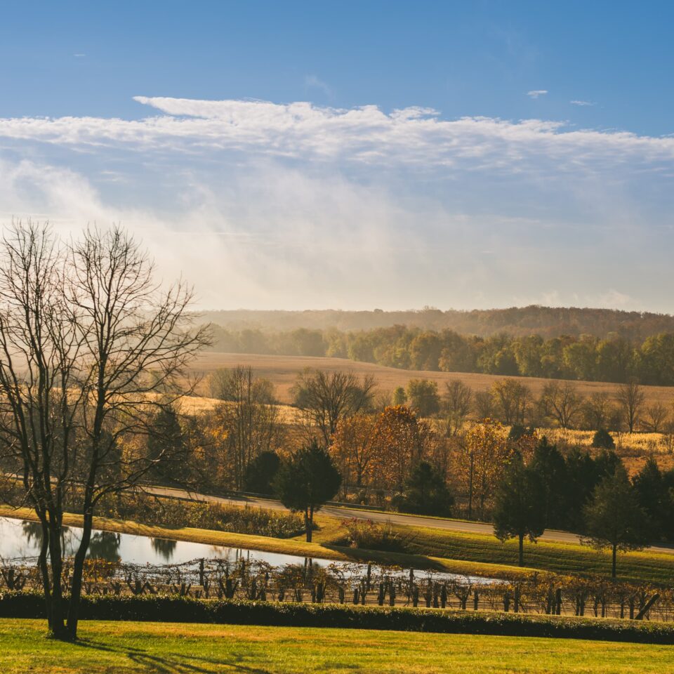 Goochland, Virginia landscape - Rassawek Vineyard