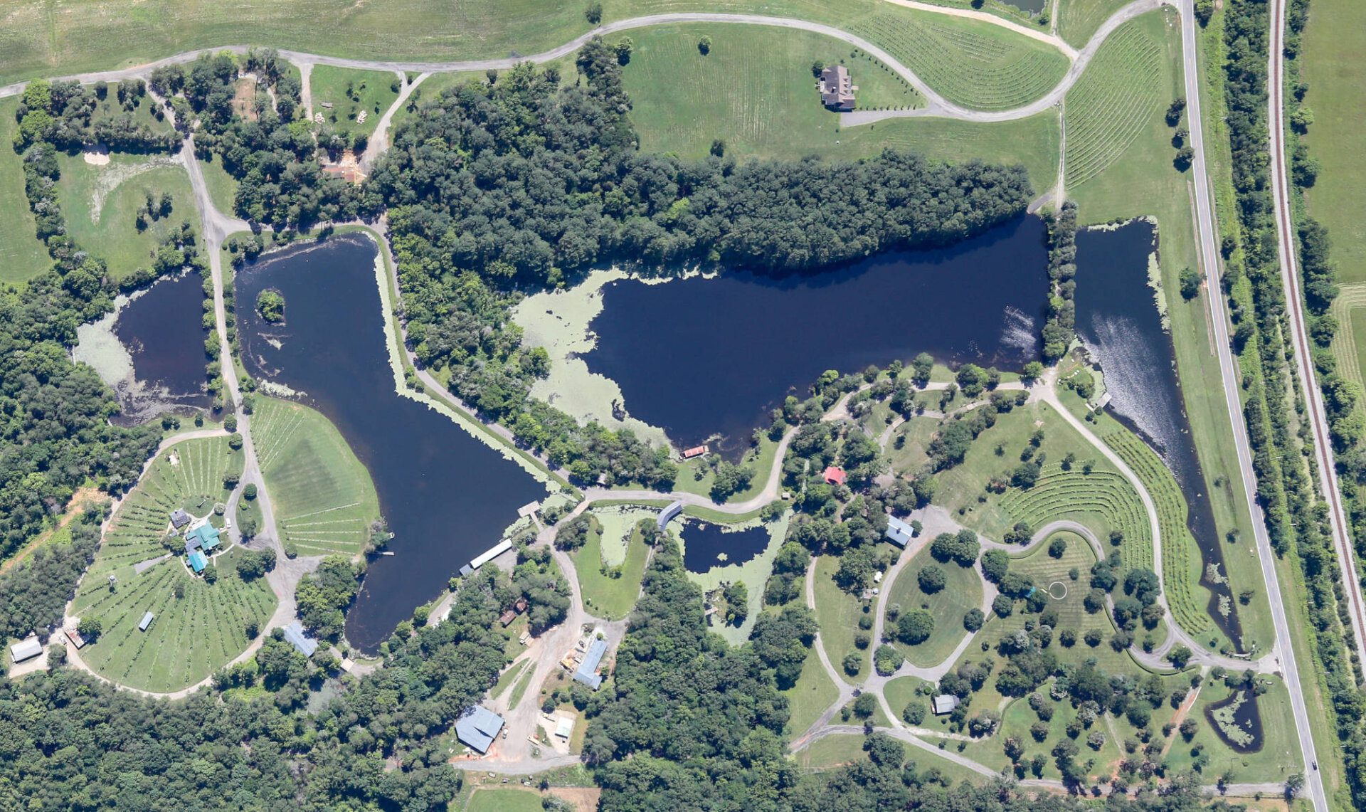 Bird's eye view - Rassawek vineyard