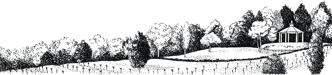 Hilltop illustration - Rassawek vineyard